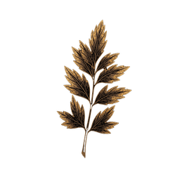 Spices leaf