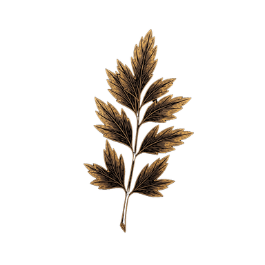 Spices leaf